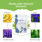Load image into Gallery viewer, (40% OFF) Herbal Detox Foot Pads