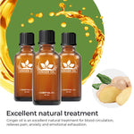 Load image into Gallery viewer, (30% OFF) Healing Ginger Oil